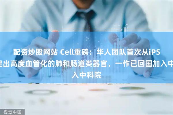配资炒股网站 Cell重磅：华人团队首次从iPSC构建出高度血管化的肺和肠道类器官，一作已回国加入中科院